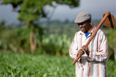   Helping Hands: A Case for Collective Action in Ethiopian Agriculture: An Exploration into Economic Empowerment Through Cooperation